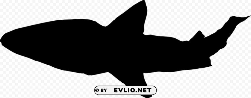 shark silhouette Clear pics PNG