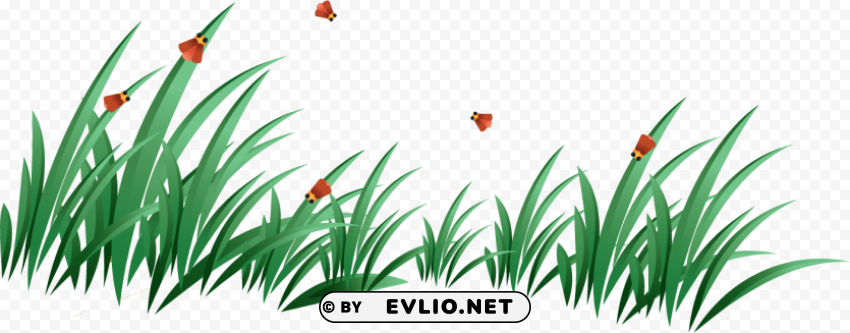 grass Isolated Artwork on HighQuality Transparent PNG