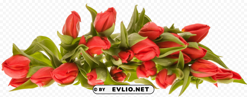 PNG image of bouquet of flowers Isolated Object on Clear Background PNG with a clear background - Image ID ba42c1af