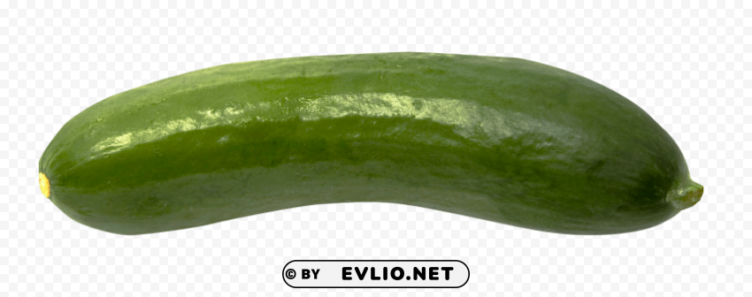 Cucumber PNG images with alpha transparency layer