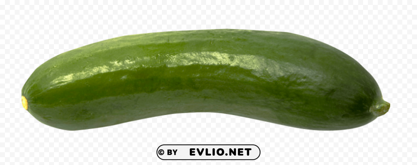 cucumber Transparent Background Isolation of PNG
