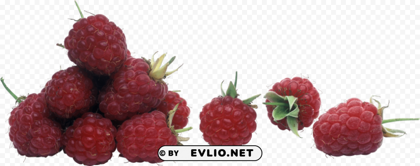 rasberrys PNG images with transparent canvas compilation