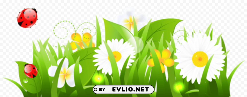 white flowers grass and ladybugspicture Isolated Graphic with Clear Background PNG