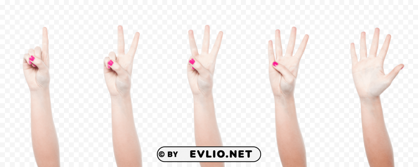 hand gestures PNG images with transparent canvas compilation