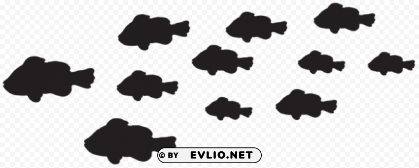 fishes silhouette High-definition transparent PNG