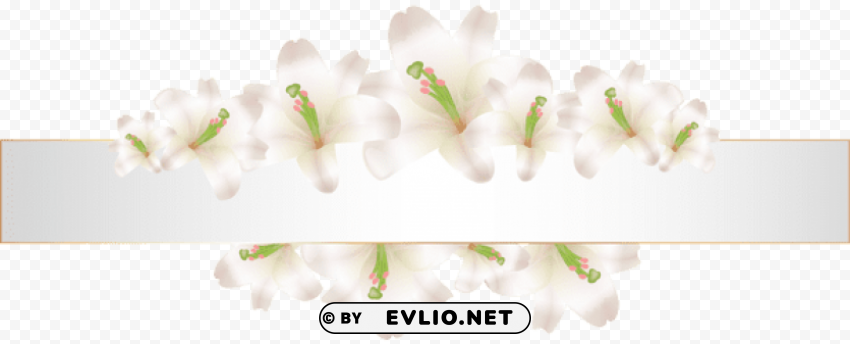 soft deco banner with flowers PNG transparent images for websites
