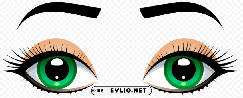 female eyes with eyebrows Transparent Background PNG Isolated Pattern