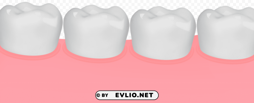 gum and teeth PNG with clear transparency