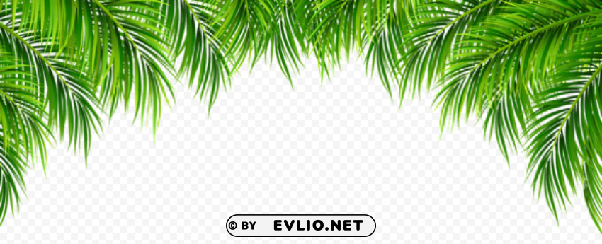 palm leaves decor PNG artwork with transparency clipart png photo - 0449c1db
