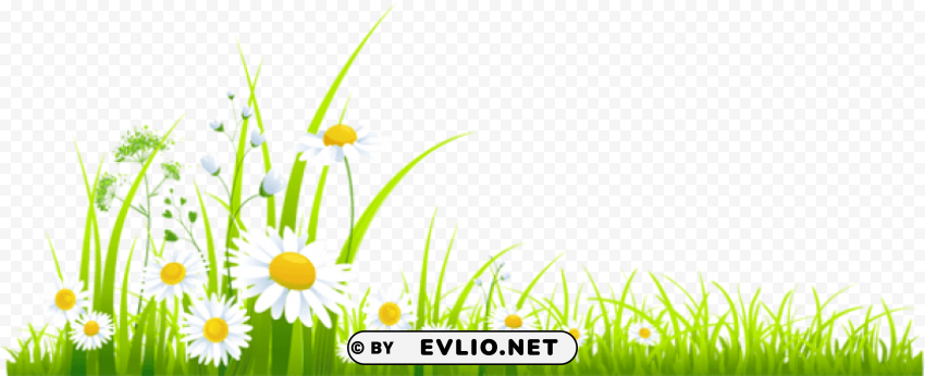 spring grass Isolated Element on Transparent PNG PNG transparent with Clear Background ID 6c84e007