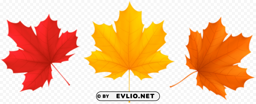 set fall leaves Transparent PNG Isolated Illustrative Element