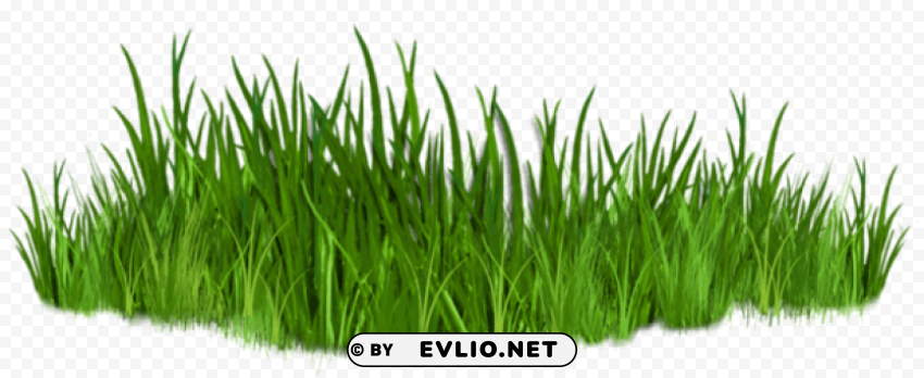grass path ground Isolated Subject with Transparent PNG