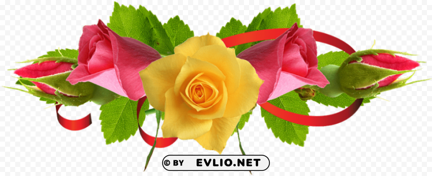 yellow rose flower PNG pictures without background