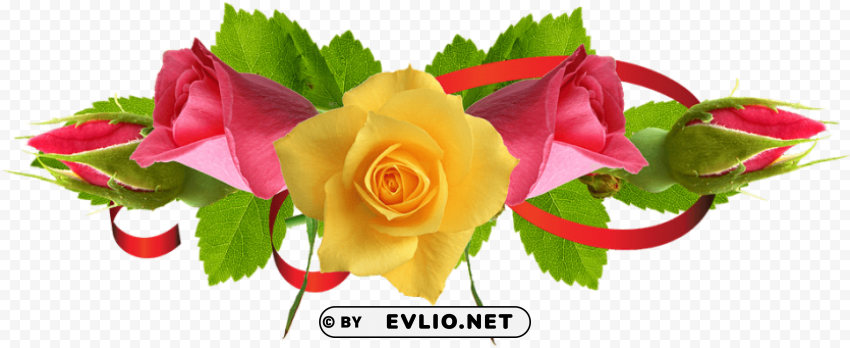 Yellow Rose Flower PNG Pictures Without Background