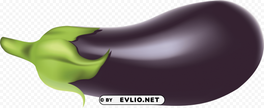 eggplant PNG for business use