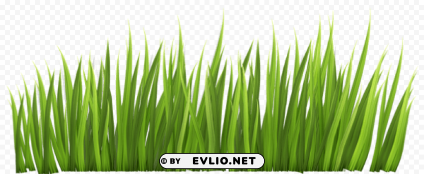 grass decorpicture PNG images with transparent backdrop