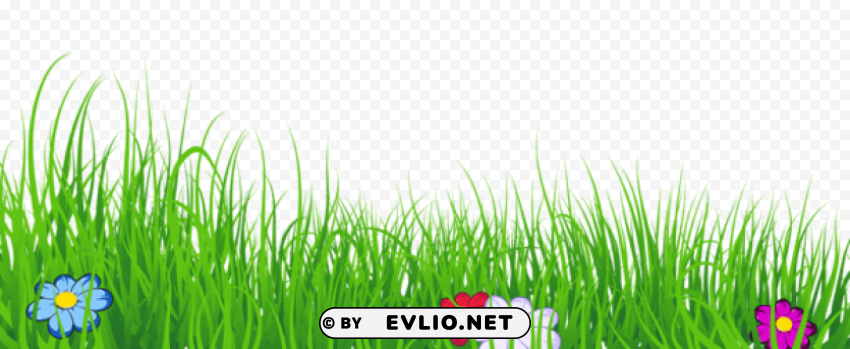 PNG image of grass Isolated Illustration in HighQuality Transparent PNG with a clear background - Image ID 59f543c0