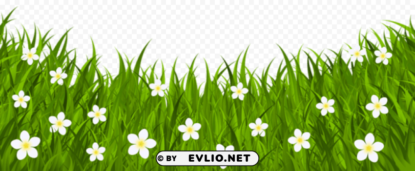 grass ground with flowers Isolated Graphic Element in HighResolution PNG