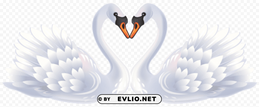 valentine swans High-quality transparent PNG images