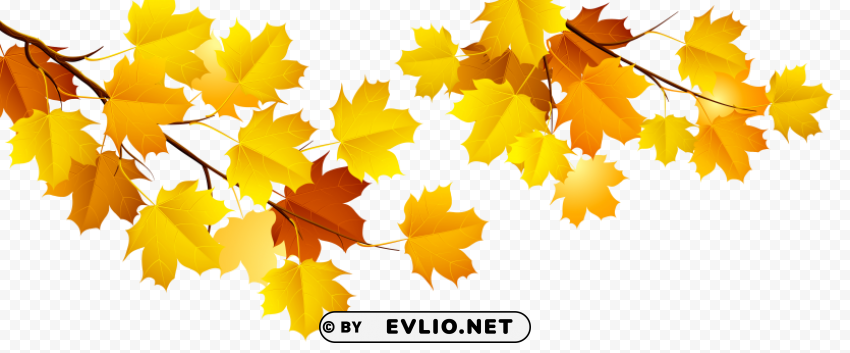 autumn Isolated Subject with Clear Transparent PNG