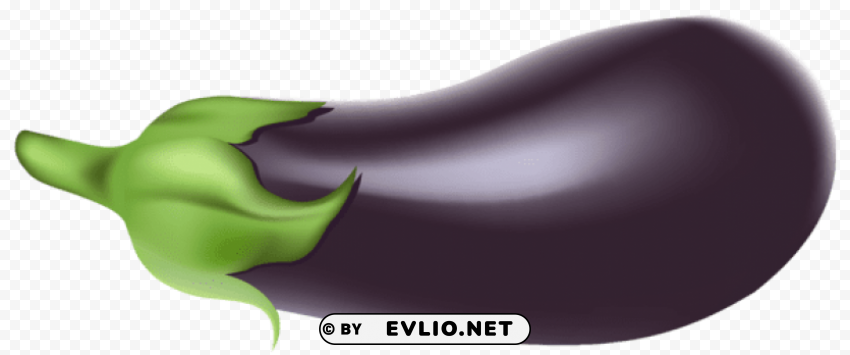 eggplantpicture PNG Image with Transparent Isolation