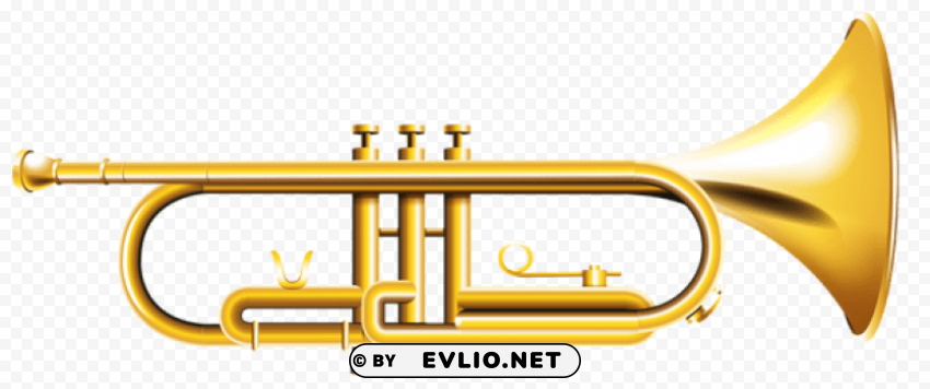 trumpet transparent PNG clear background