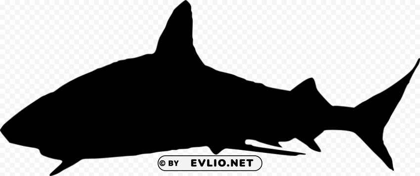 shark silhouette Clear Background PNG Isolated Subject