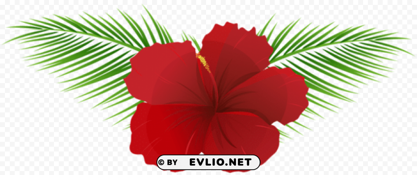 exotic flower transparent PNG format
