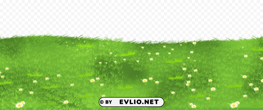 grass ground with daisies Isolated PNG Item in HighResolution