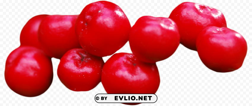 Cranberry Isolated Graphic Element in Transparent PNG