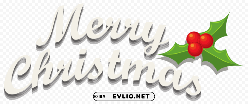 merry christmas decor with mistletoe Isolated Design Element in PNG Format