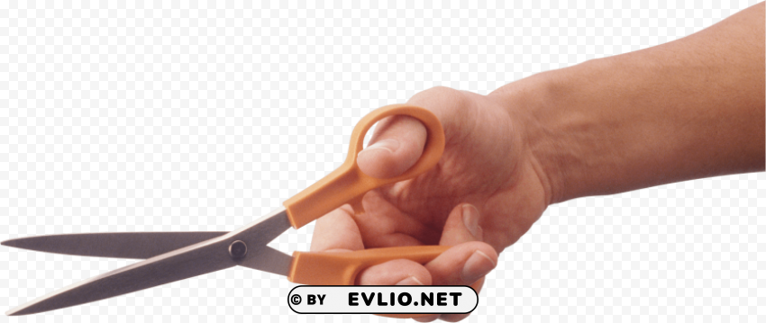 scissors PNG with no background diverse variety