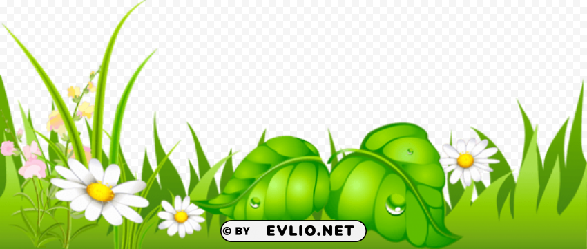 grass with daisies ground Isolated Graphic on Transparent PNG