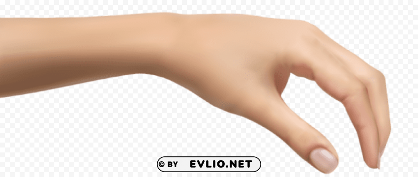 human handpicture PNG images with transparent canvas assortment