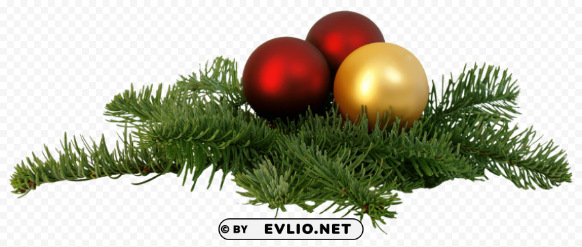 Christmas Branch Clean Background Isolated PNG Graphic