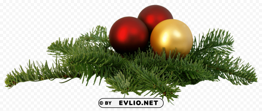 christmas branch Clear Background PNG Isolated Item