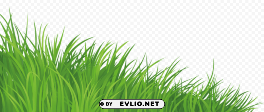 Grass Elementpicture PNG Images With No Limitations