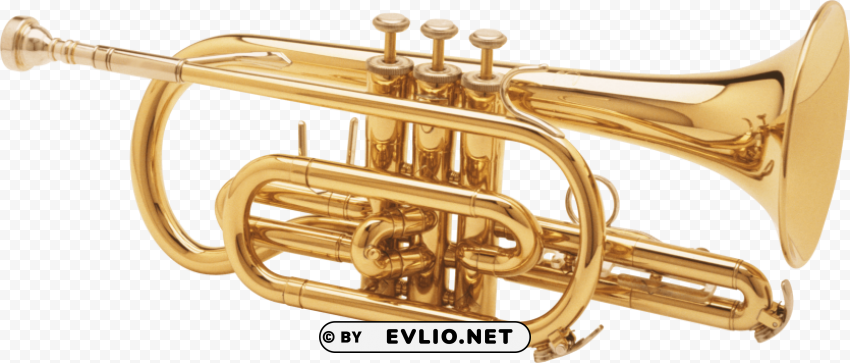 trumpet Isolated Element with Clear PNG Background
