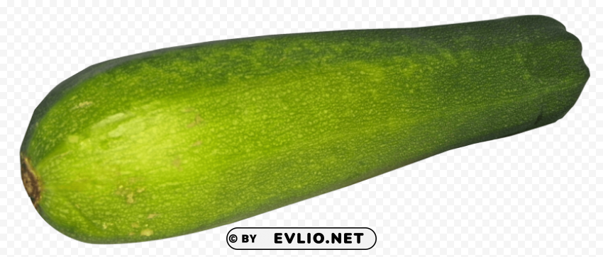 zucchini Clear PNG pictures compilation