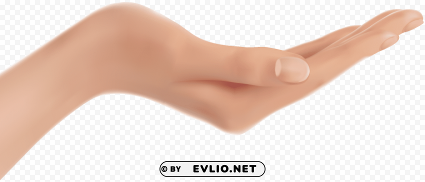 hands PNG Isolated Object with Clarity