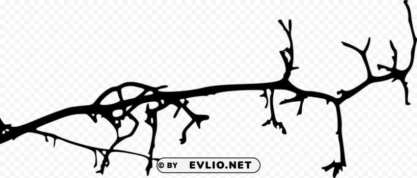 simple tree branch Isolated Graphic on HighQuality Transparent PNG