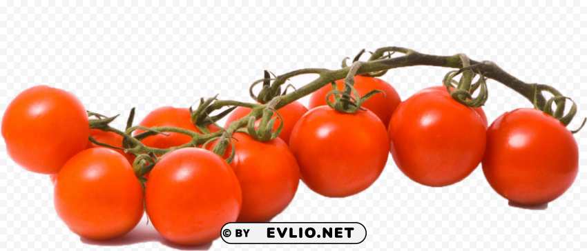 tomato Clean Background Isolated PNG Illustration