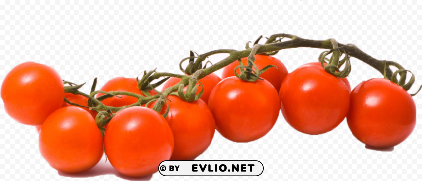 tomato Clean Background Isolated PNG Illustration PNG transparent with Clear Background ID c7d64158