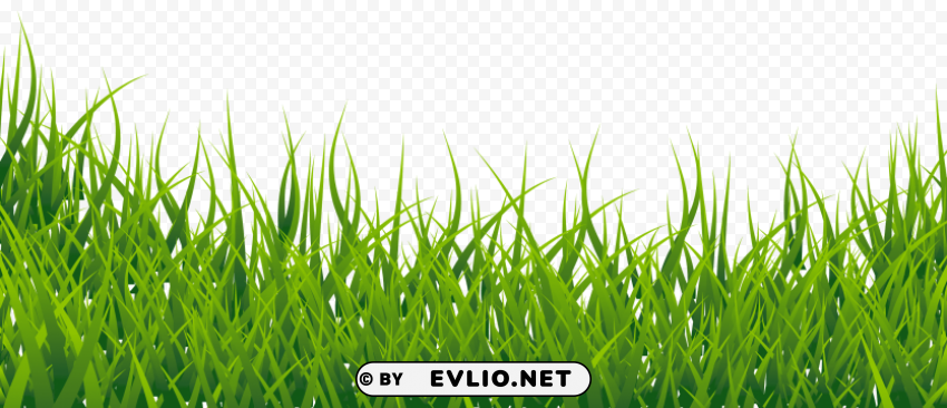 Grass Vector Free PNG Images With Alpha Channel Compilation