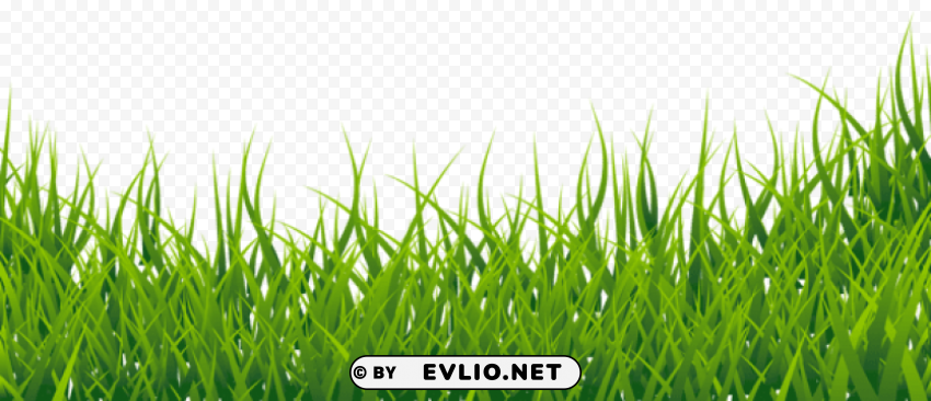grasspicture Transparent PNG Isolated Artwork