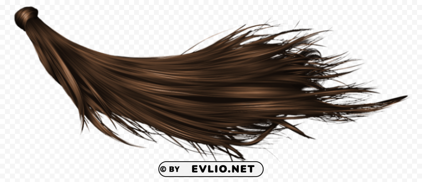 Hair HD Transparent PNG