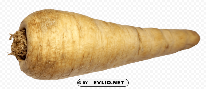 parsnip Clear pics PNG PNG images with transparent backgrounds - Image ID 8853add9