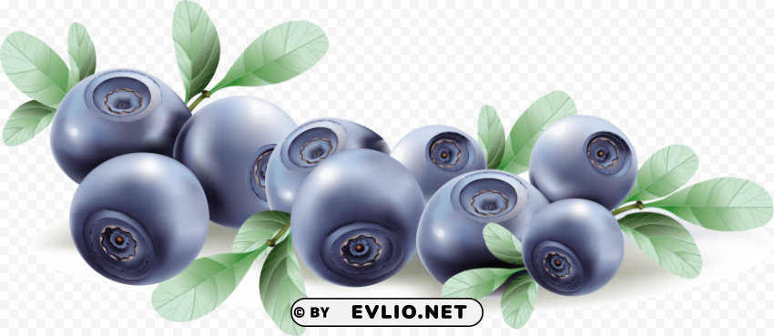 blueberries Transparent graphics clipart png photo - 5caa5323