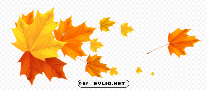 deco fall leafspicture Transparent Background PNG Isolated Pattern
