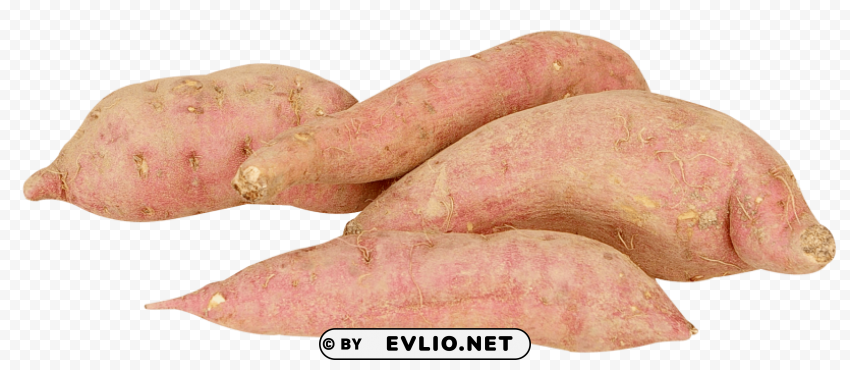 sweet potato Clear PNG images free download